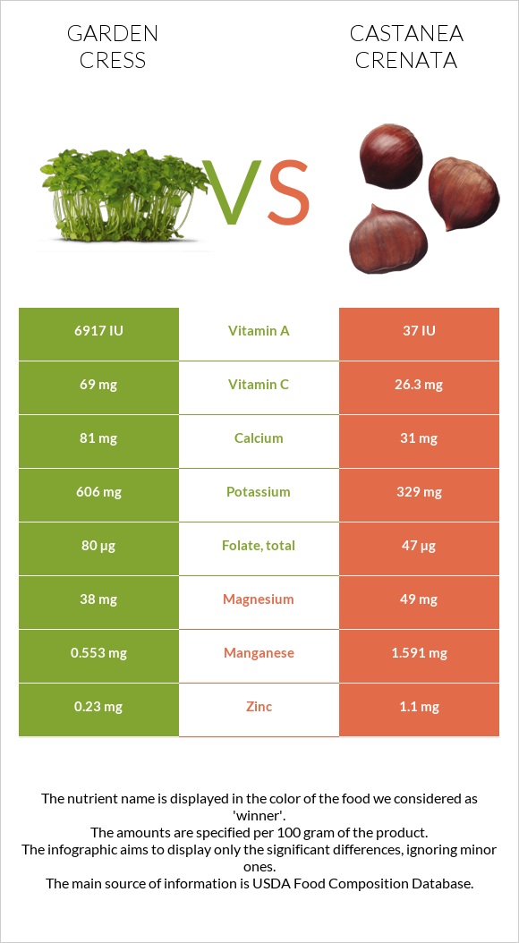 Garden cress vs Castanea crenata infographic