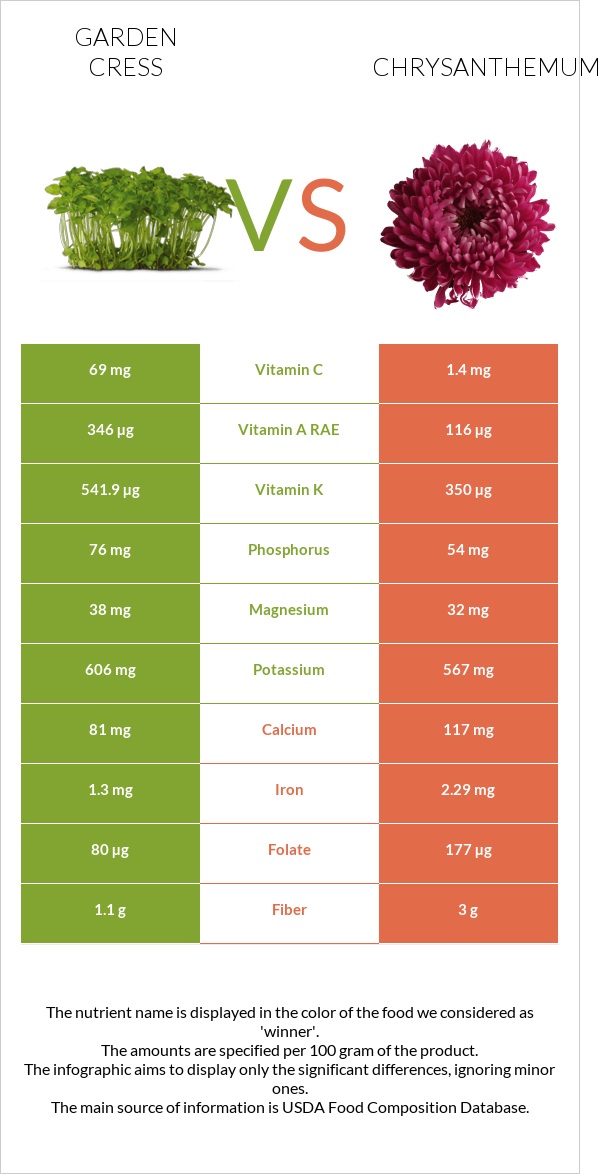 Garden cress vs Chrysanthemum infographic