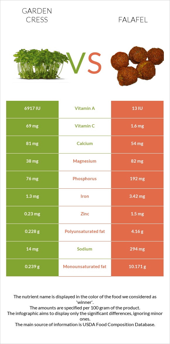 Garden cress vs Falafel infographic