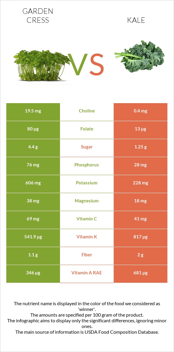 Garden cress vs Kale infographic