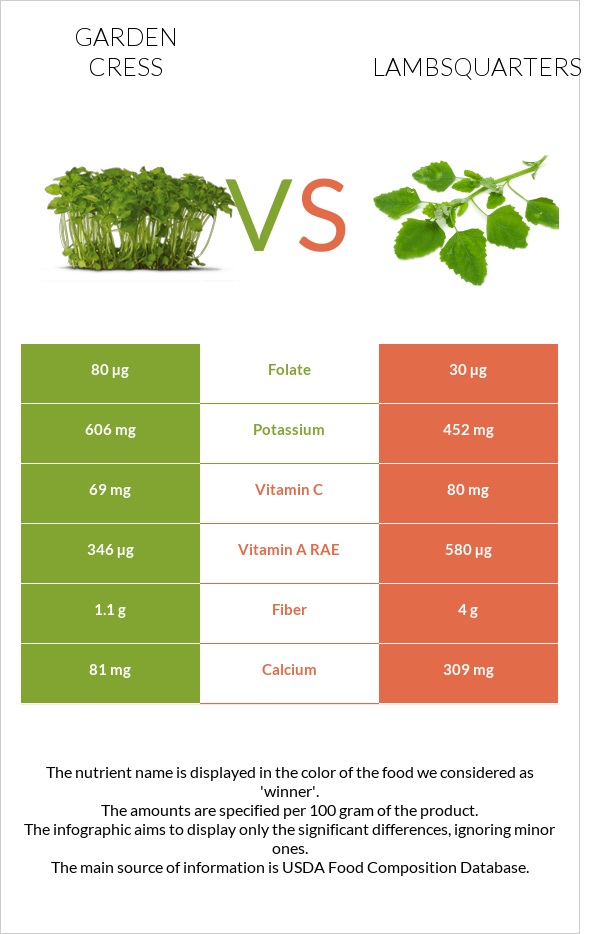 Garden cress vs Lambsquarters infographic