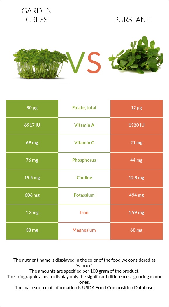 Garden cress vs Purslane infographic