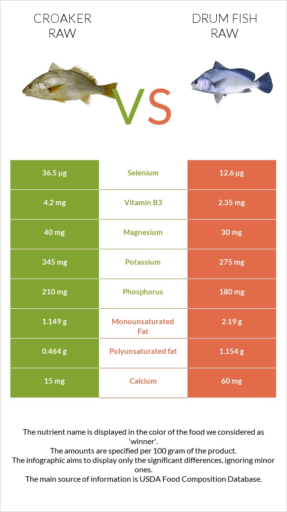 Croaker raw vs Drum fish raw infographic