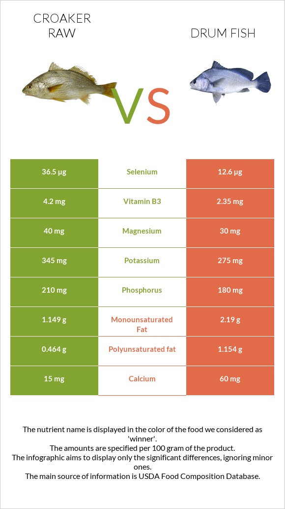 Croaker raw vs Drum fish infographic