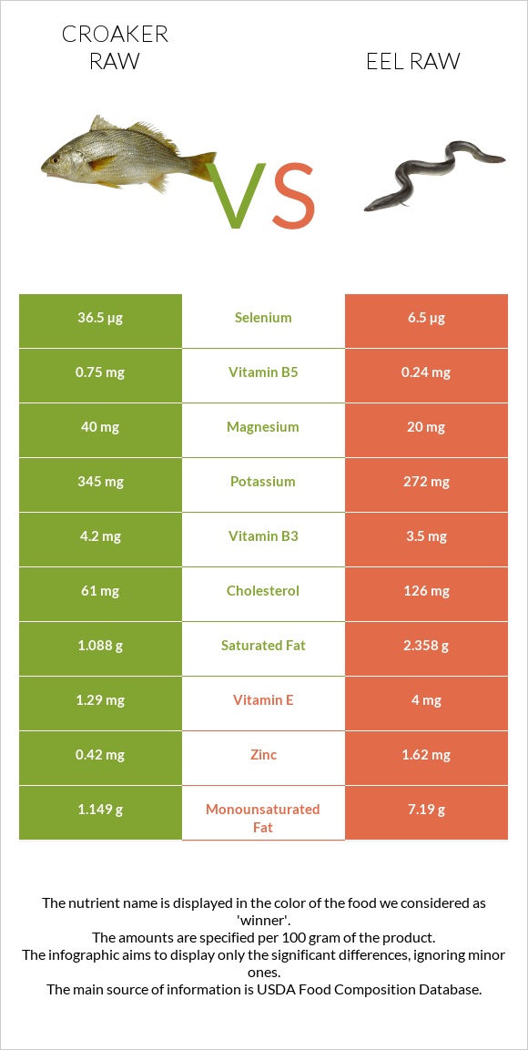 Croaker raw vs Eel raw infographic