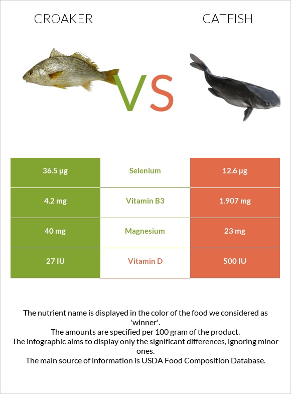Croaker vs Catfish infographic