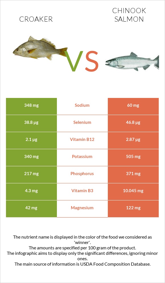 Croaker vs Սաղմոն չավիչա infographic