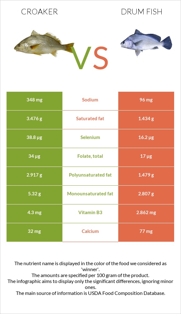 Croaker vs Drum fish infographic