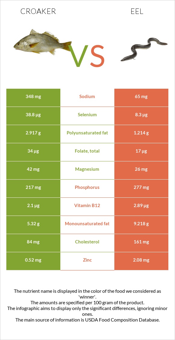 Croaker vs Eel infographic