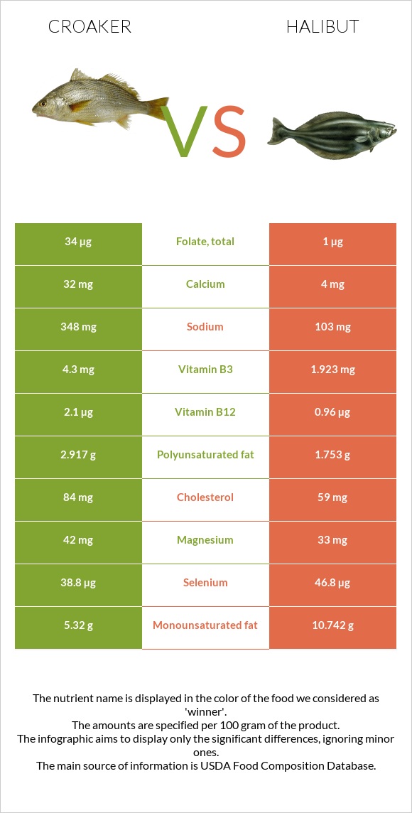 Croaker vs Halibut infographic