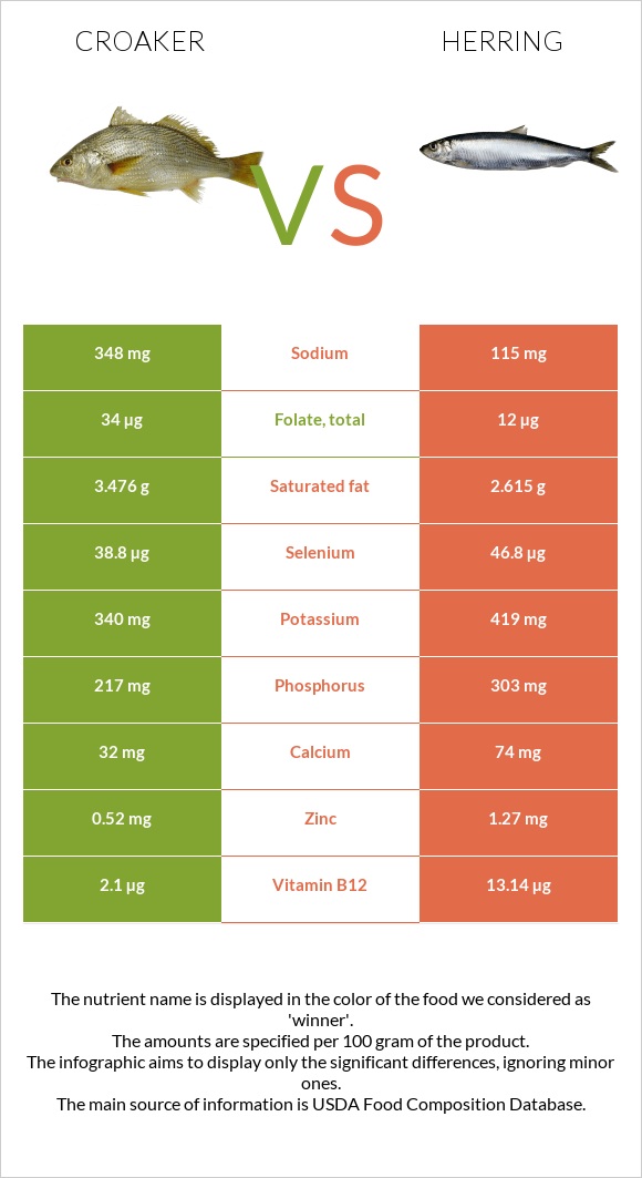 Croaker vs Herring infographic