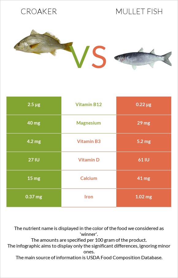 Croaker vs Mullet fish infographic