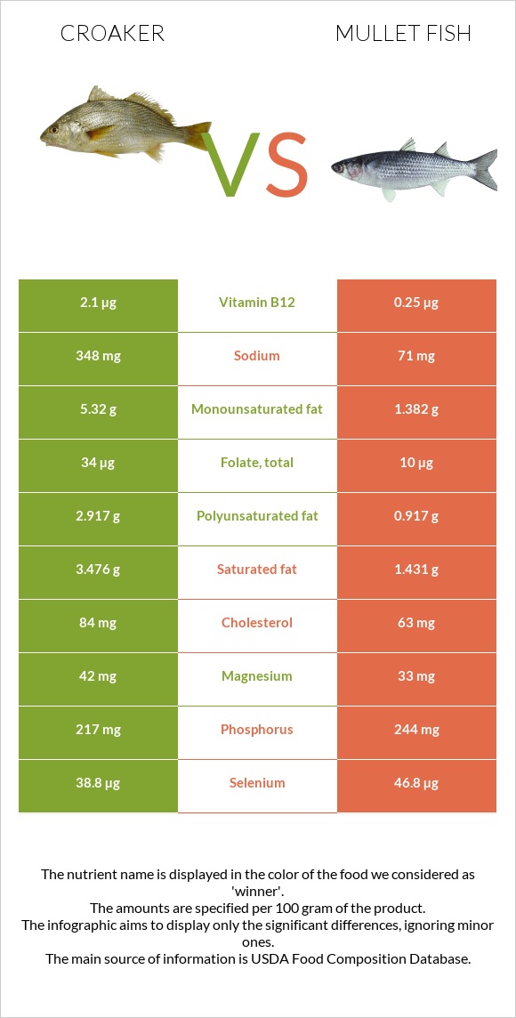 Croaker vs Mullet fish infographic