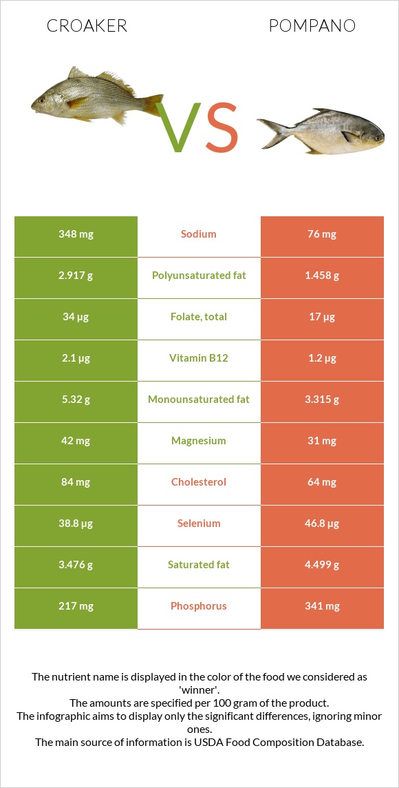 Croaker vs Pompano infographic