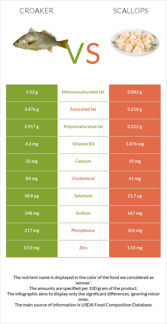 Croaker vs Scallop infographic