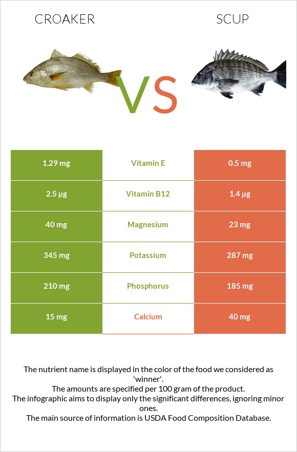 Croaker vs Scup infographic
