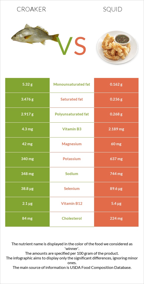 Croaker vs Squid as food infographic