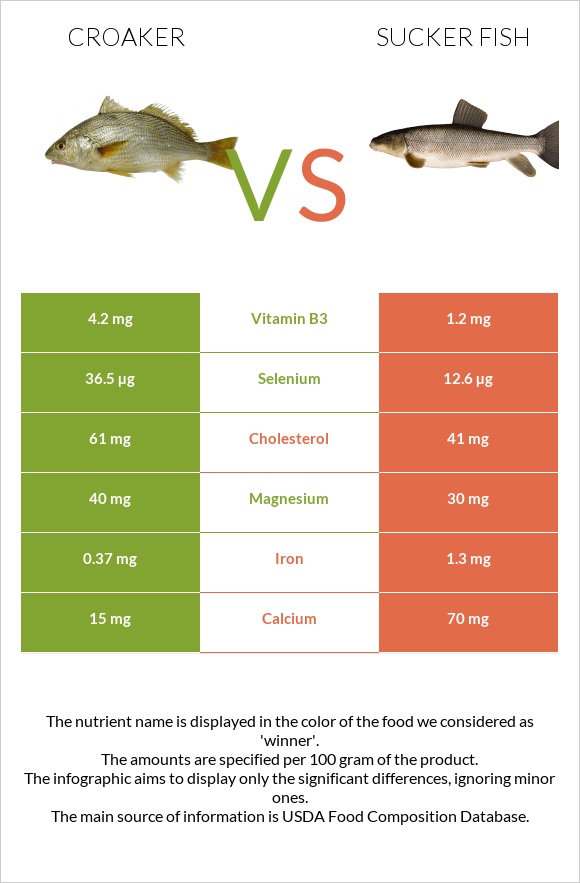 Croaker vs Sucker fish infographic