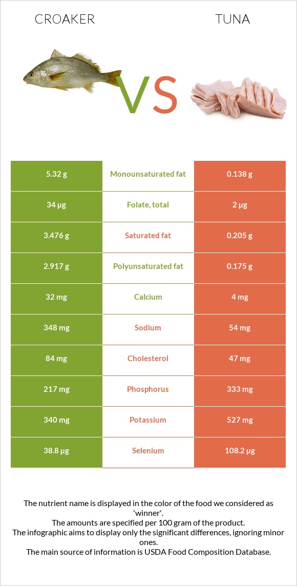 Croaker vs Թունա infographic