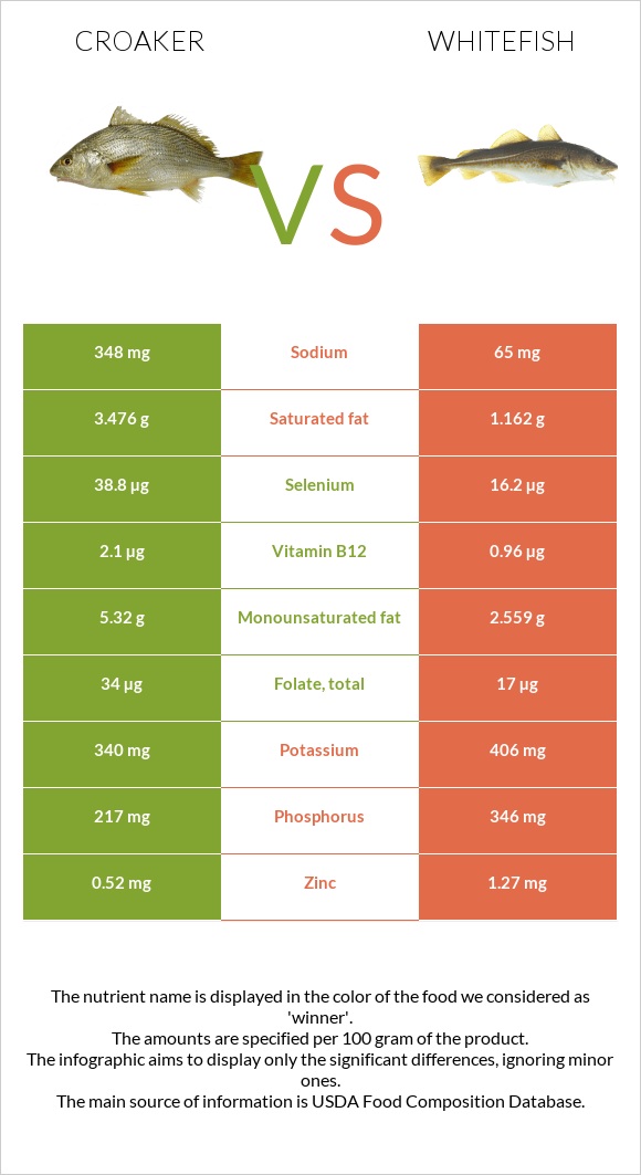 Croaker vs Whitefish infographic