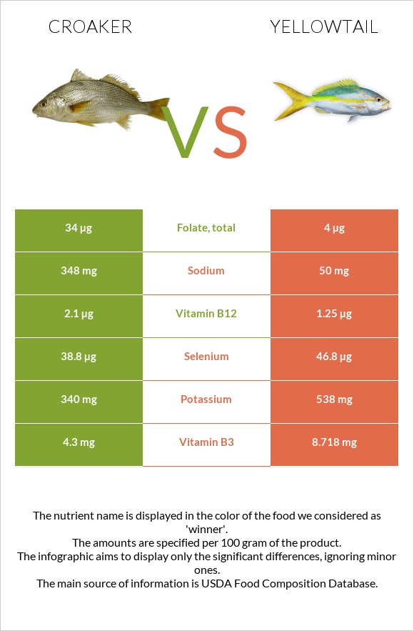 Croaker vs Yellowtail infographic