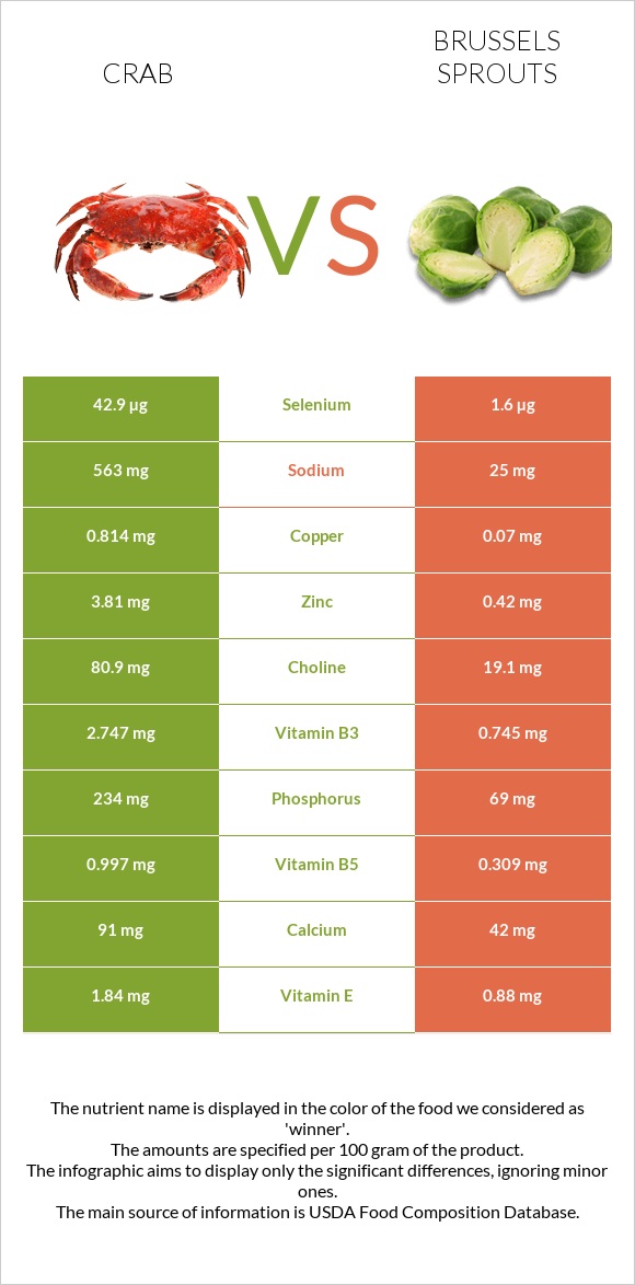 Ծովախեցգետին vs Բրյուսելյան կաղամբ infographic