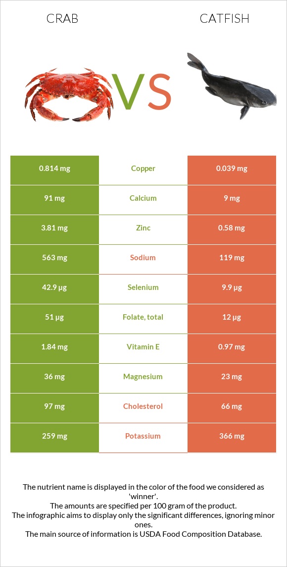 Ծովախեցգետին vs Catfish infographic