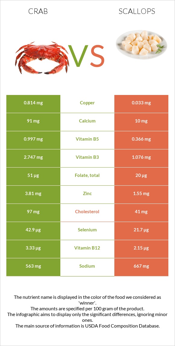 Ծովախեցգետին vs Scallop infographic