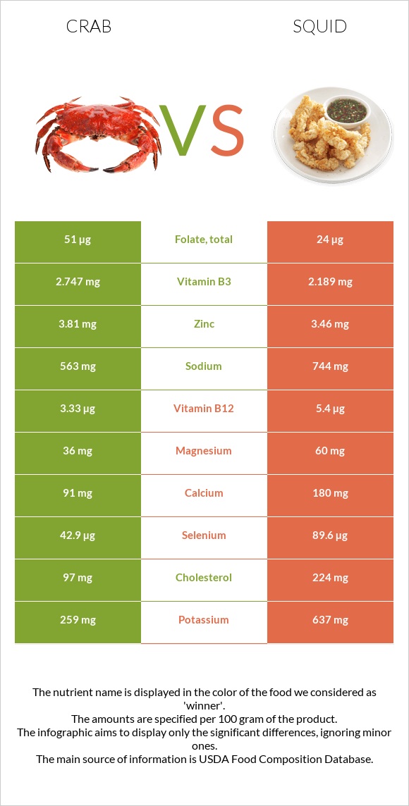 Ծովախեցգետին vs Տապակած կաղամար infographic