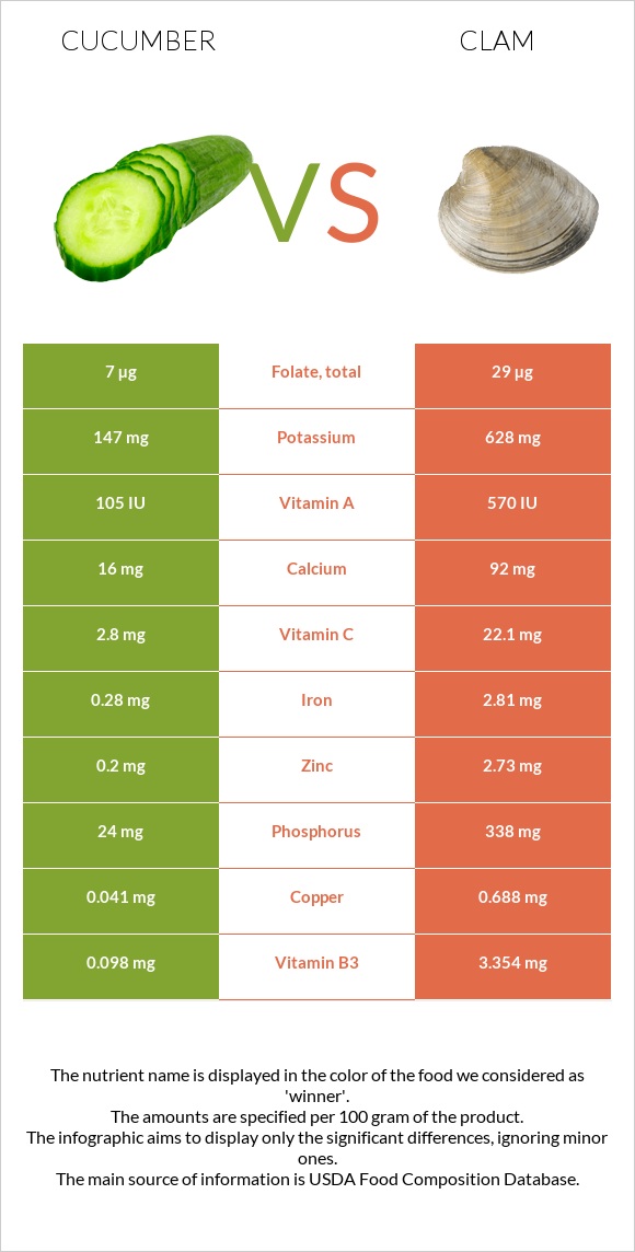 Cucumber vs Clam infographic