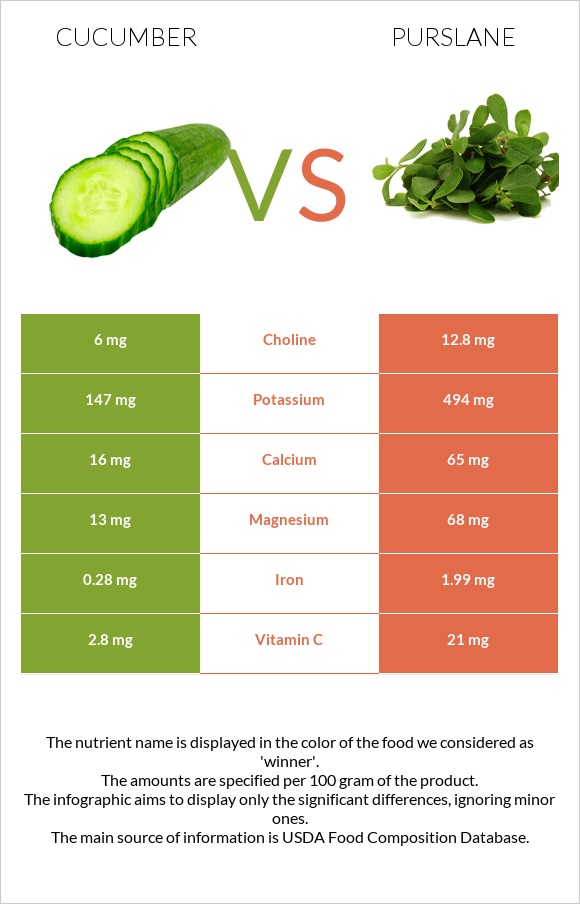 Cucumber vs Purslane infographic