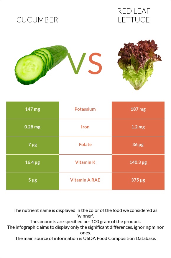 Վարունգ vs Red leaf lettuce infographic