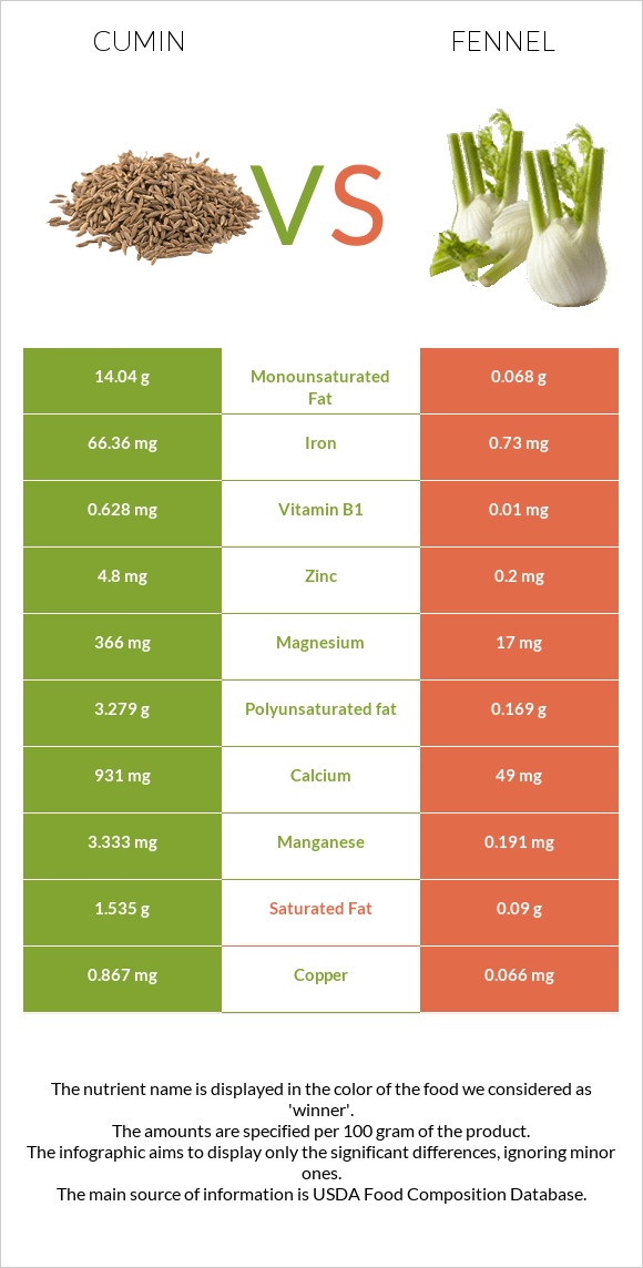 Cumin vs Fennel infographic