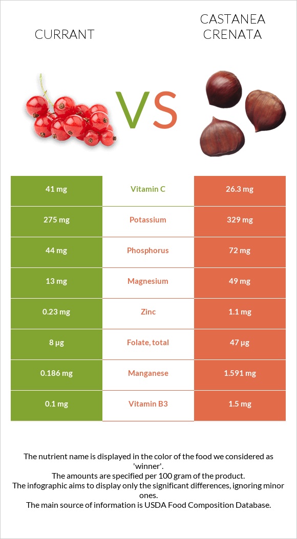 Currant vs Castanea crenata infographic