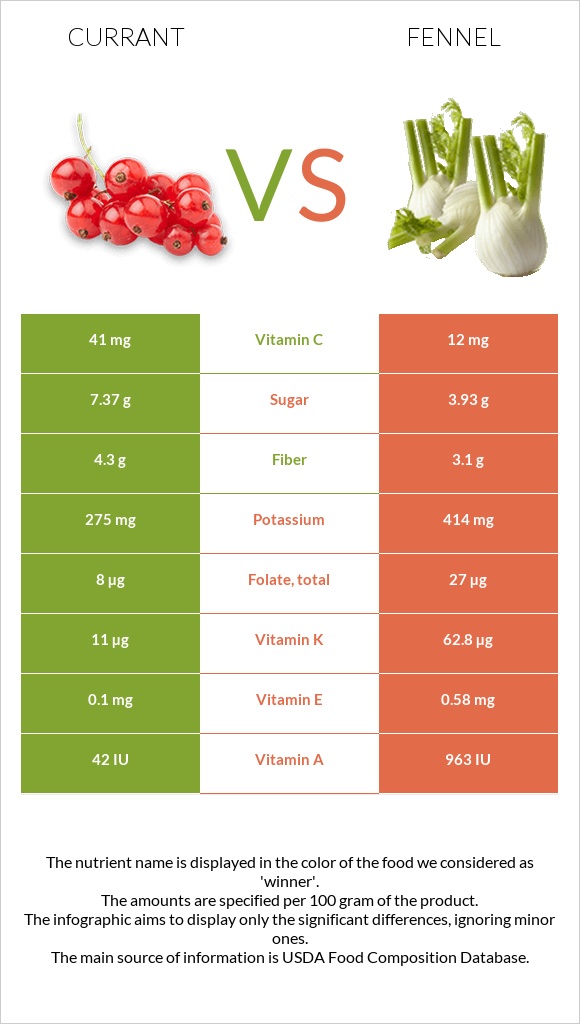 Currant vs Fennel infographic