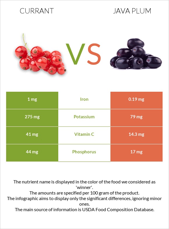 Currant vs Java plum infographic