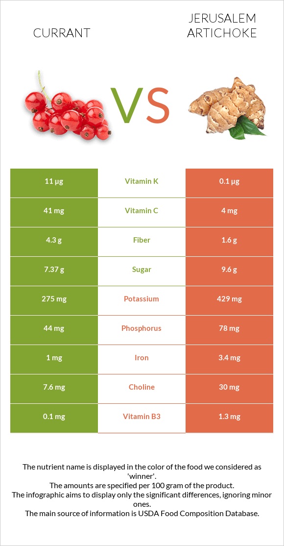 Currant vs Jerusalem artichoke infographic