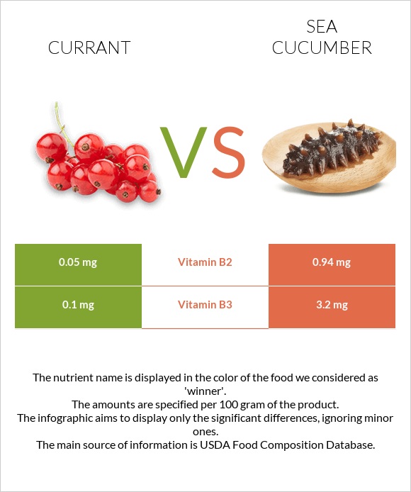 Currant vs Sea cucumber infographic