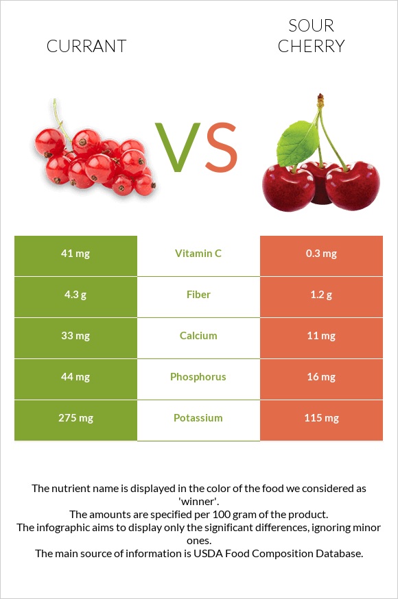 Currant vs Sour cherry infographic