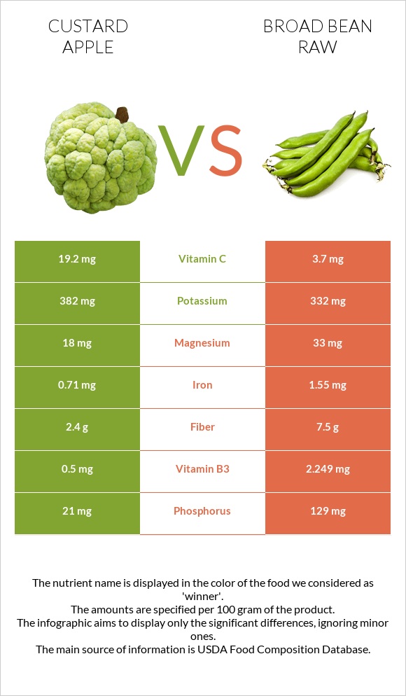 Custard apple vs Broad bean raw infographic
