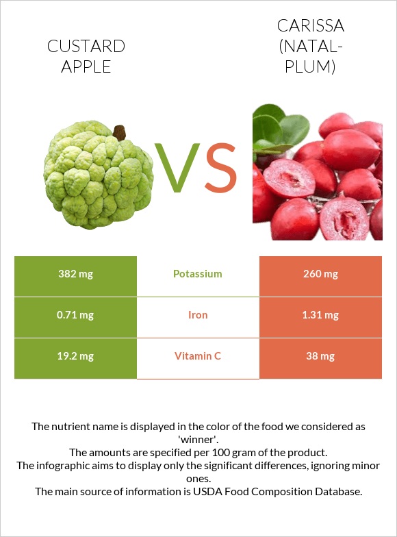 Custard apple vs Carissa (natal-plum) infographic