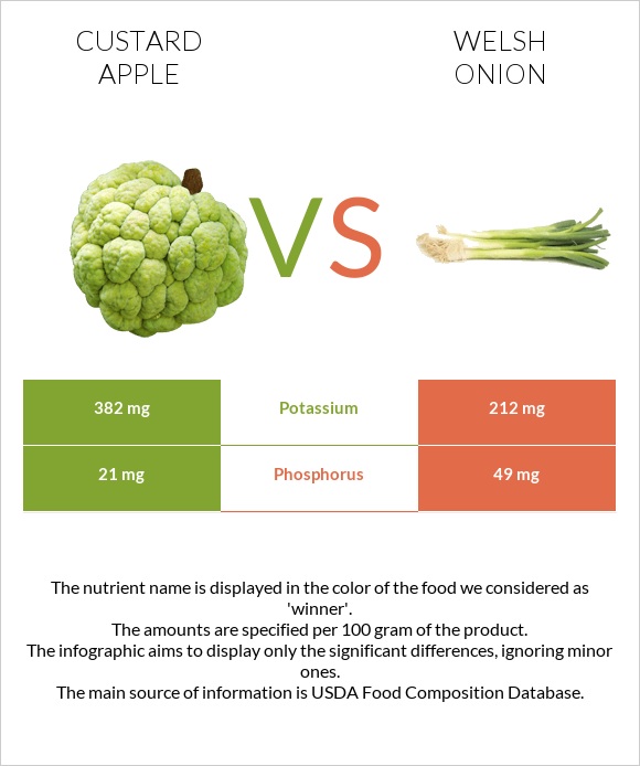 Custard apple vs Welsh onion infographic