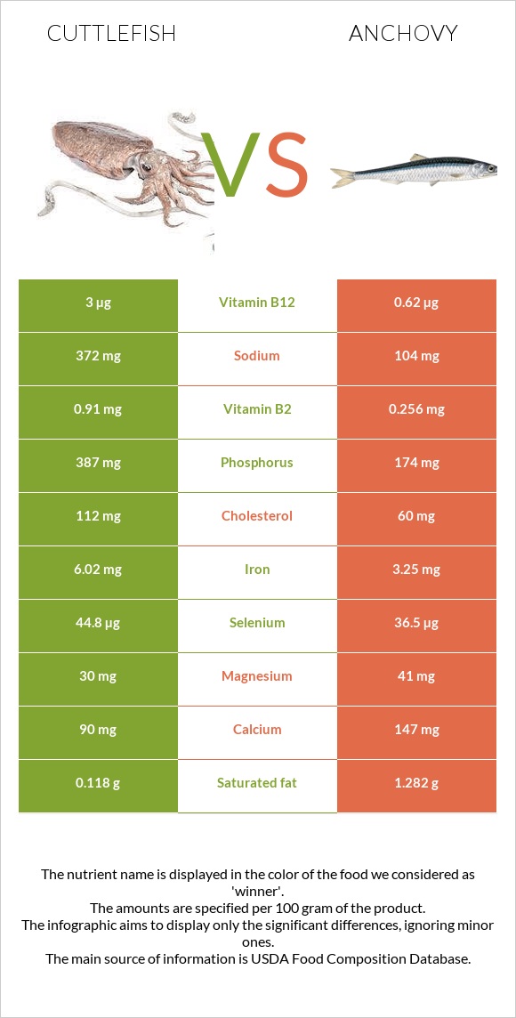 Cuttlefish vs Anchovy infographic