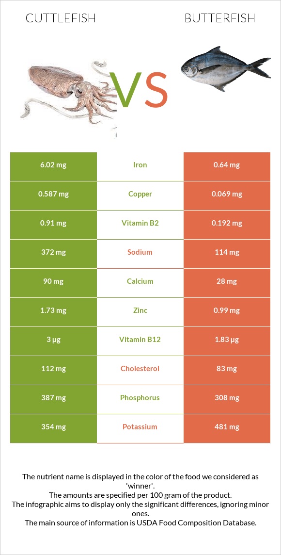 Cuttlefish vs Butterfish infographic