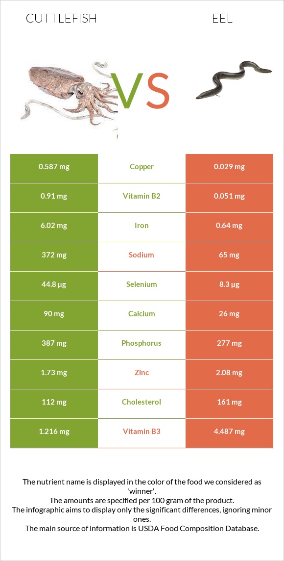 Cuttlefish vs Eel infographic