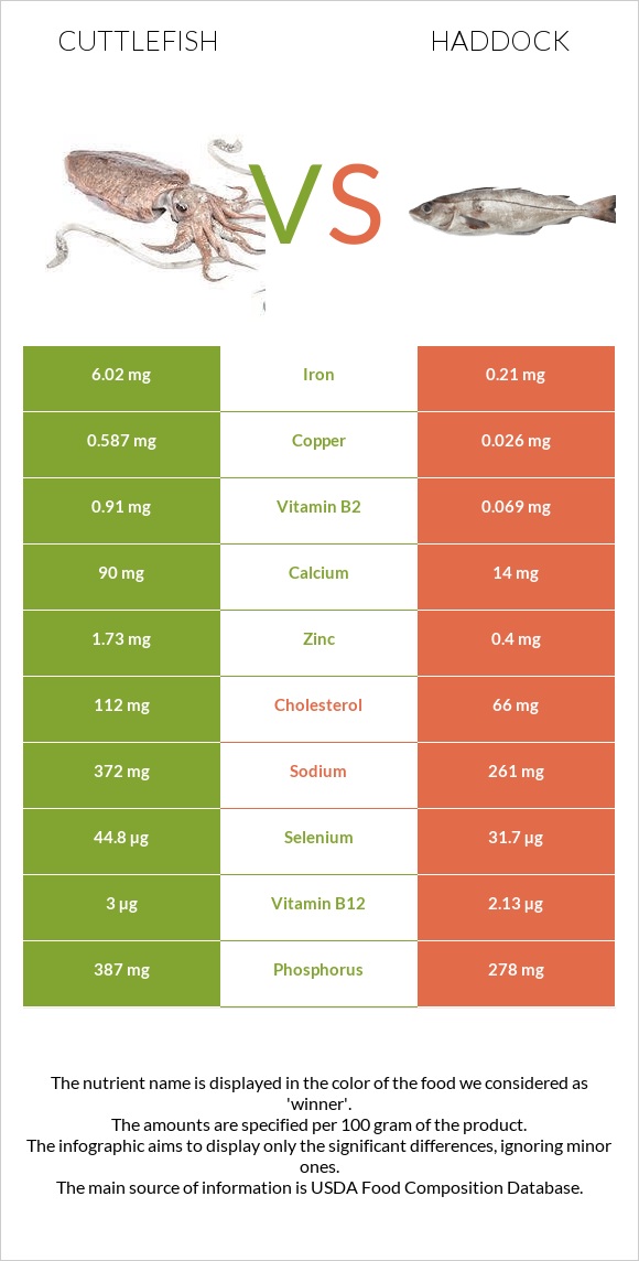 Cuttlefish vs Haddock infographic