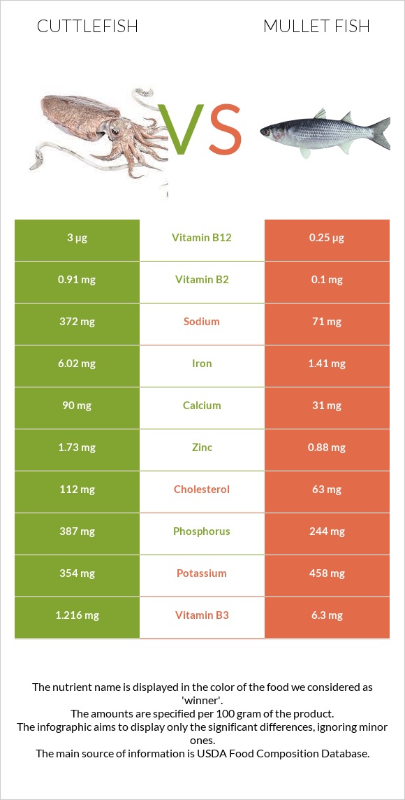 Cuttlefish vs Mullet fish infographic