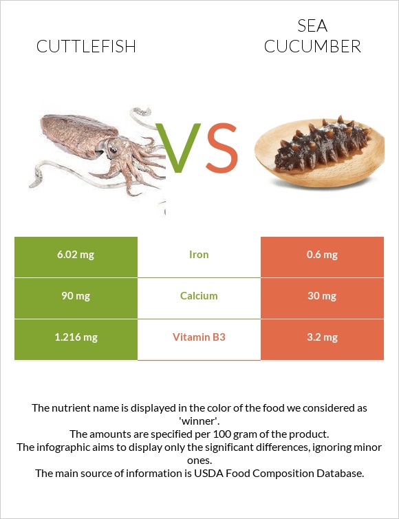 Cuttlefish vs Sea cucumber infographic