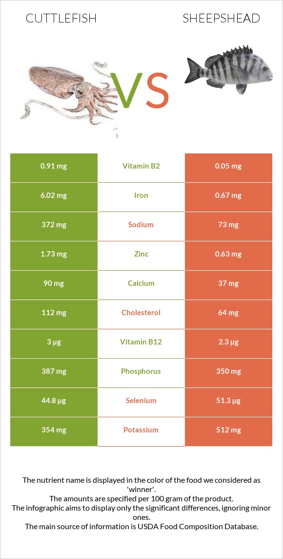 Cuttlefish vs Sheepshead infographic