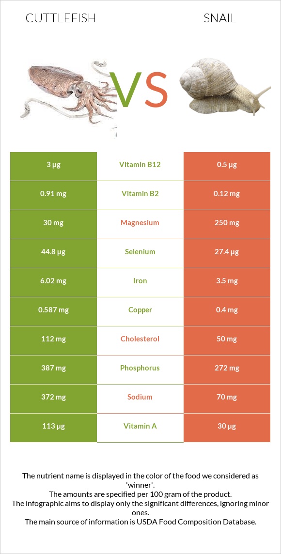 Cuttlefish vs Snail infographic